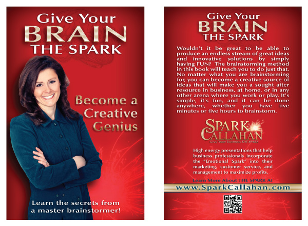 Stephanie Spark Callahan - "Give Your Brain the Spark" book Cover